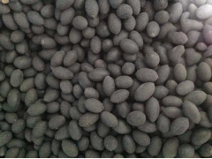 陜西哪里有賣荷花種子的？