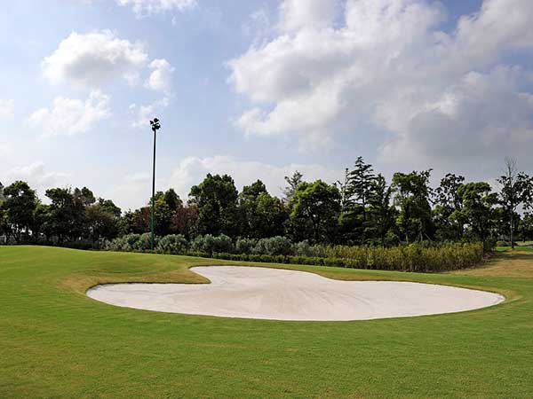 高爾夫球場草坪圖片