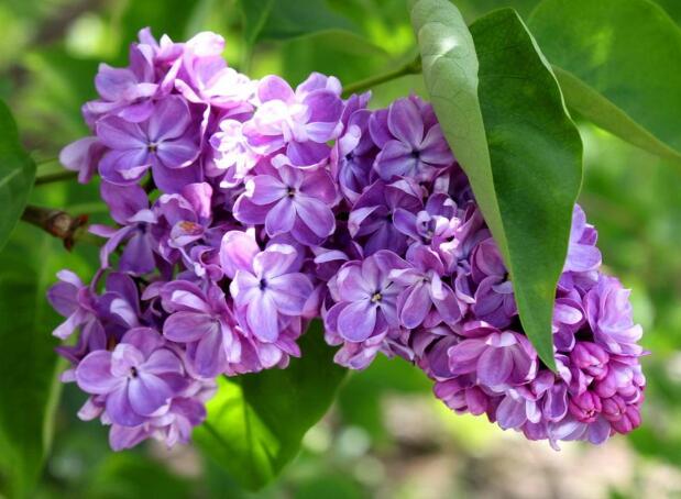 1649042561170985.jpg 1649042561170985.jpg