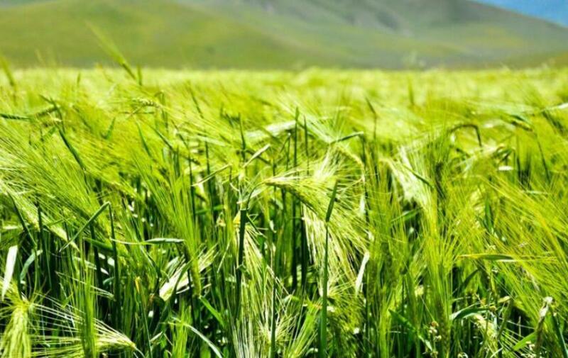 1653801254256690.jpg 1653801254256690.jpg