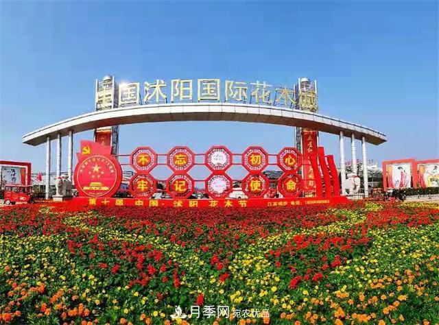 值得收藏！這些全國著名苗木產地你知道幾個？