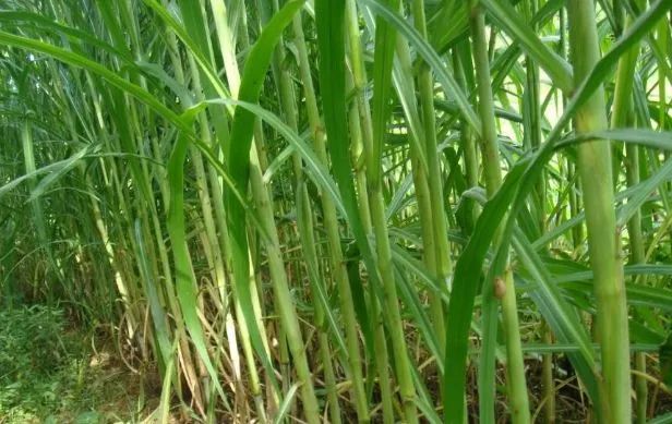 1665234619996687.jpg 微信圖片_20220827153616.jpg