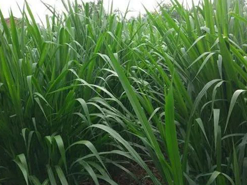 1665234641537008.jpg 微信圖片_20220901062619.jpg