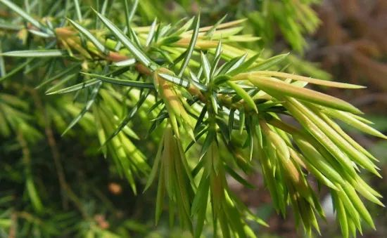 1673145538741127.jpg 微信圖片_20230107193600.jpg