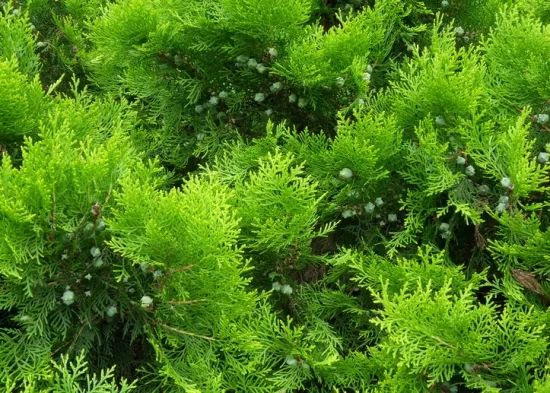 1673145545416080.jpg 微信圖片_20230107193612.jpg