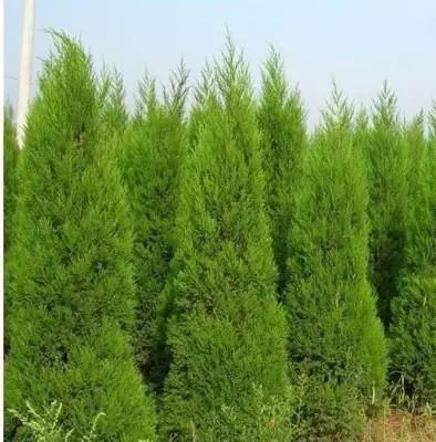 1673145552421775.jpg 微信圖片_20230107194007.jpg