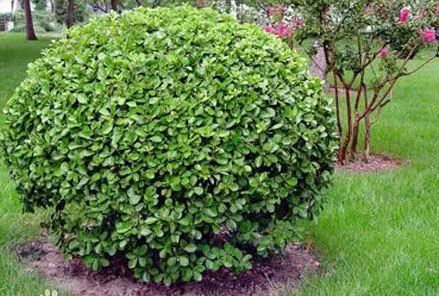 1673147991716937.jpg 微信圖片_20230107221123.jpg