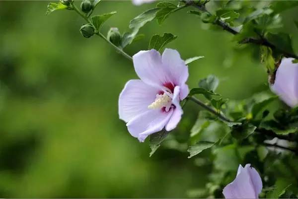 1673148294934252.jpg 微信圖片_20230108112404.jpg