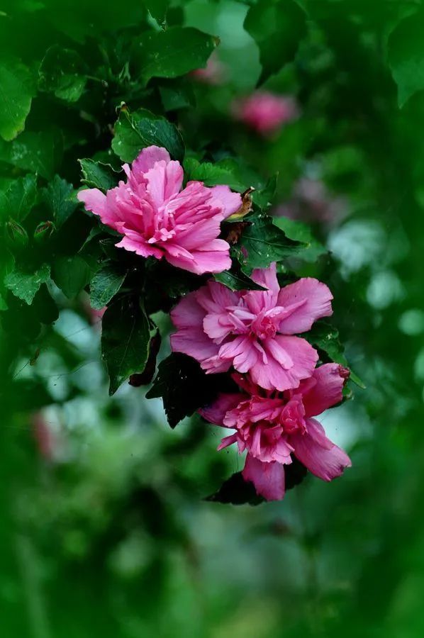 1673148300264055.jpg 微信圖片_20230108112418.jpg