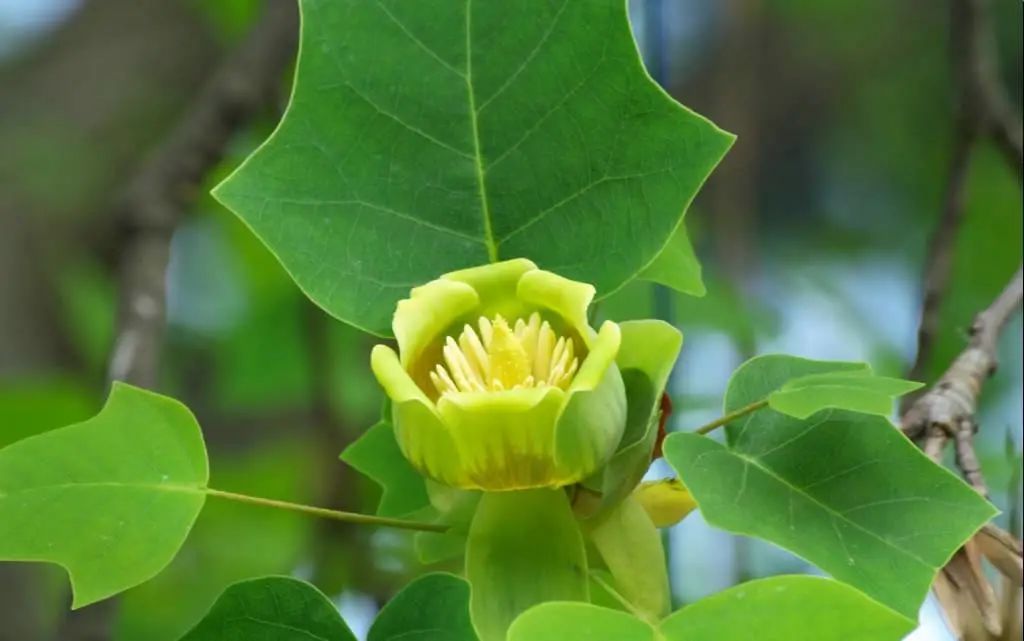 1673150307136658.jpg 微信圖片_20230108115748.jpg