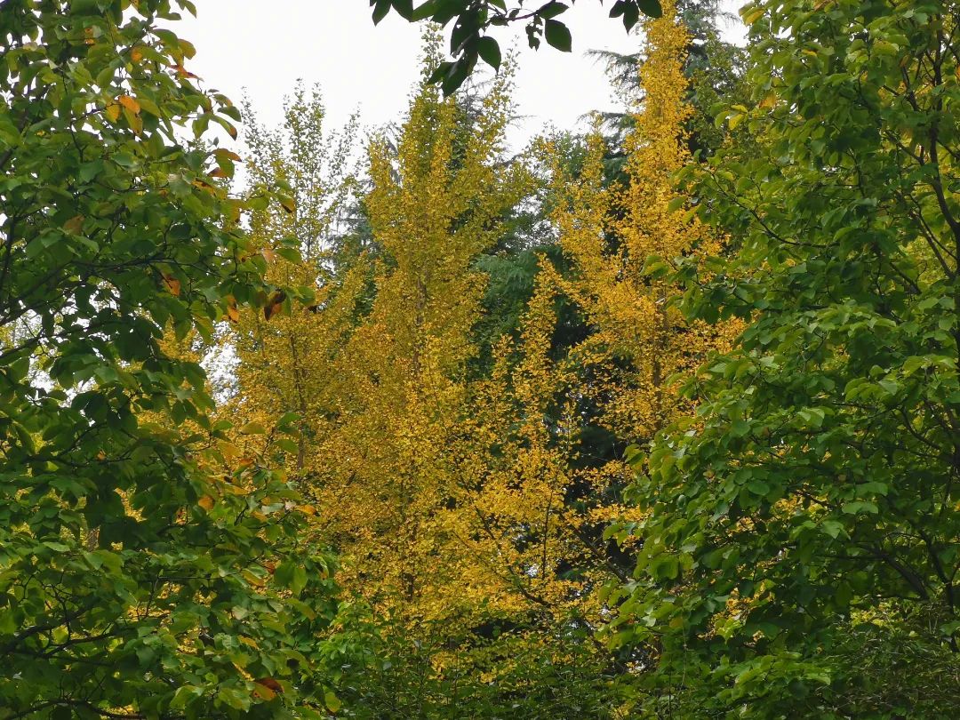 1673150316407876.jpg 微信圖片_20230108115756.jpg