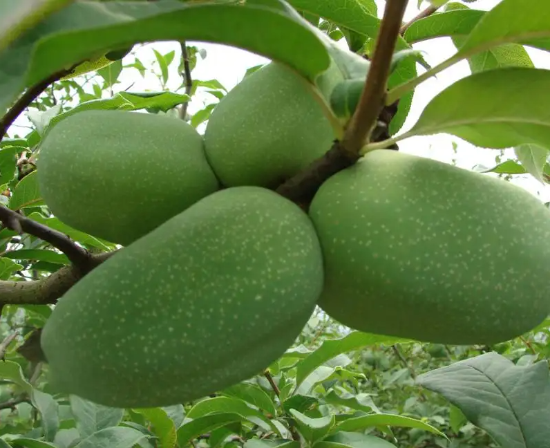 1673150623957117.png 微信圖片_20221129014525.png