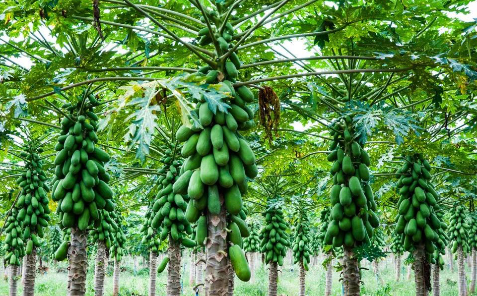 1673150645455187.jpg 微信圖片_20221129014631.jpg