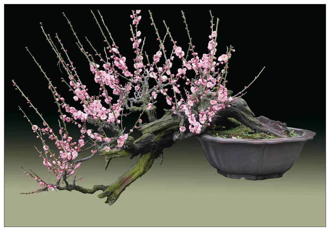 1673151094232186.jpg 微信圖片_20230108121052.jpg