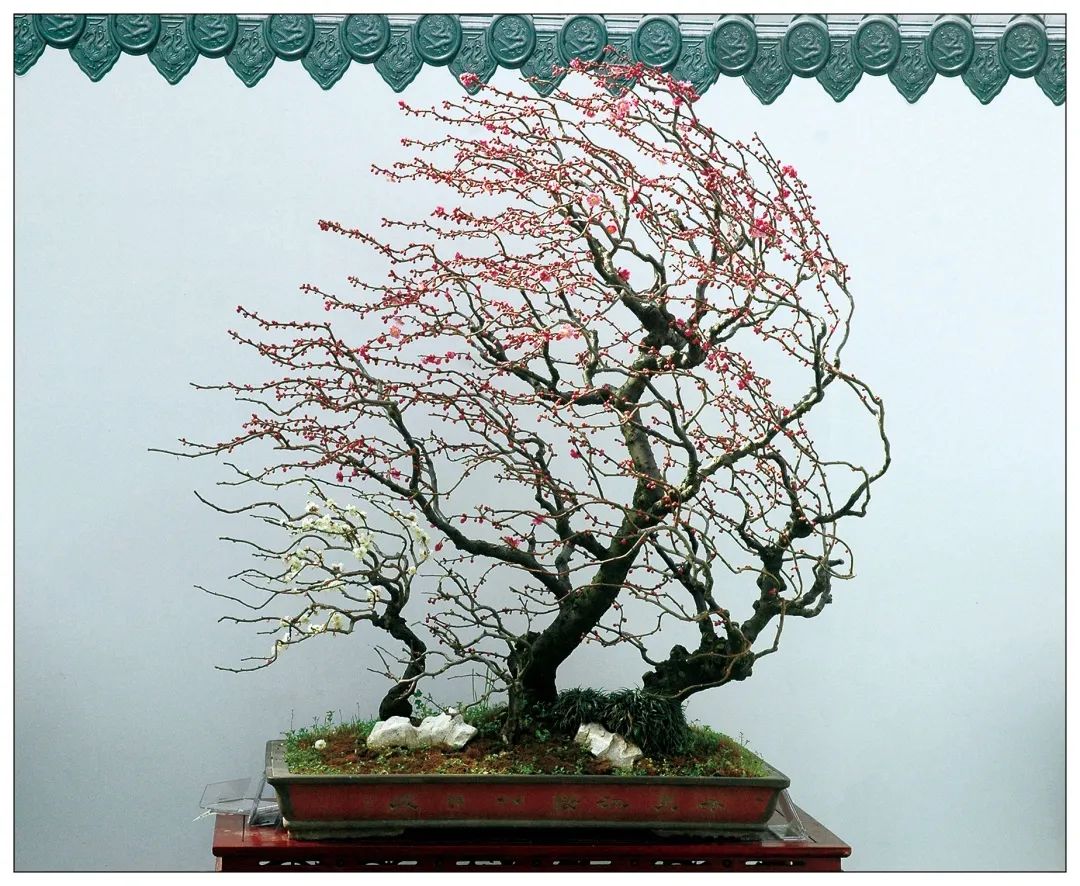 1673151104502670.jpg 微信圖片_20230108121035.jpg