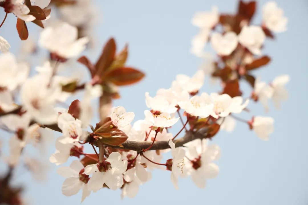 1673151470563063.jpg 微信圖片_20230107162436.jpg