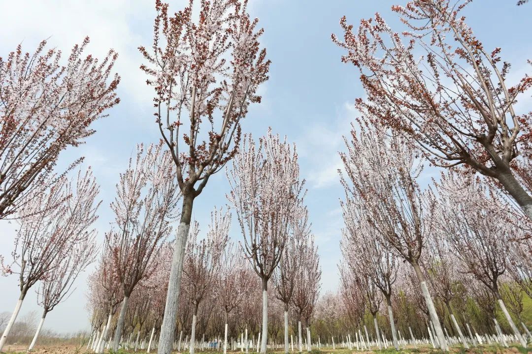 1673151494191777.jpg 微信圖片_20230107162500.jpg