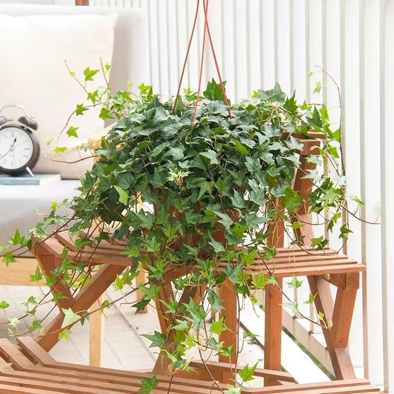 1673356394345186.jpg 微信圖片_20230110211242.jpg