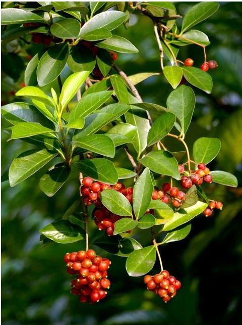 1673356731350589.png 微信圖片_20230110211816.png