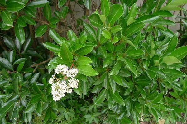 1673356738150327.jpg 微信圖片_20230110211818.jpg