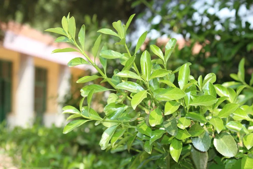 1673356745387031.jpg 微信圖片_20230110211821.jpg