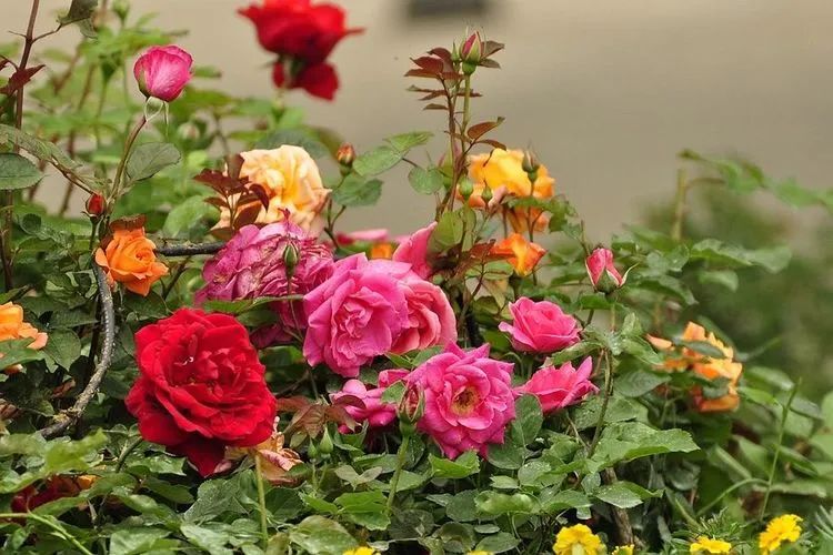 1673385670262082.jpg 微信圖片_20221126211636.jpg