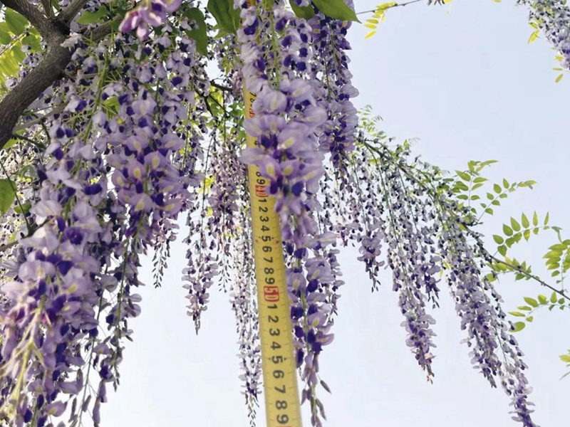 1673524956779576.jpg 微信圖片_20220818221258.jpg