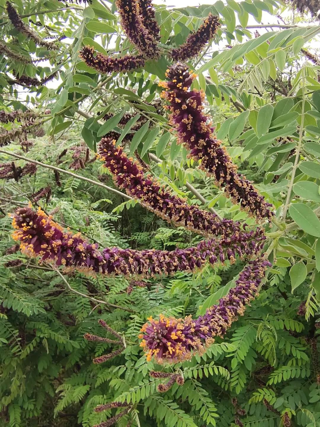 1673779694144549.jpg 微信圖片_20221126002542.jpg