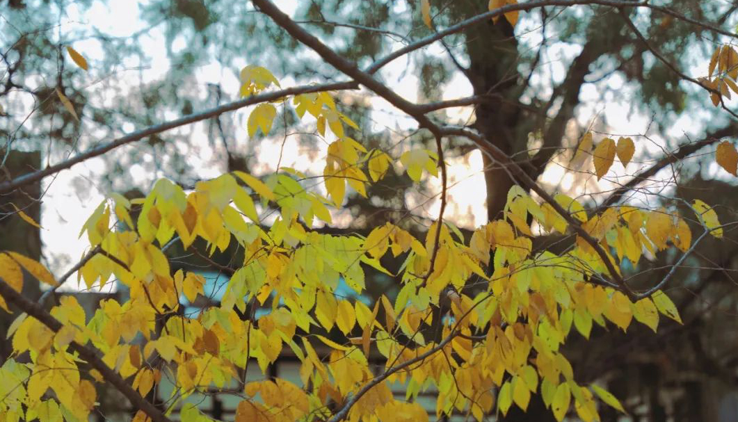 1673780018792661.jpg 微信圖片_20230115185213.jpg