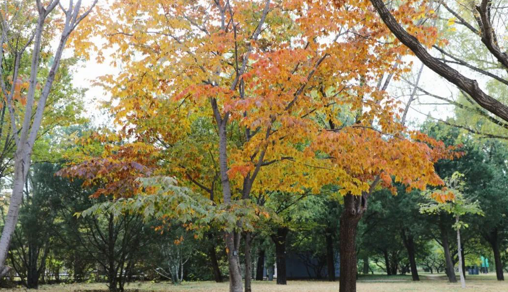 1673780026658863.jpg 微信圖片_20230115185225.jpg