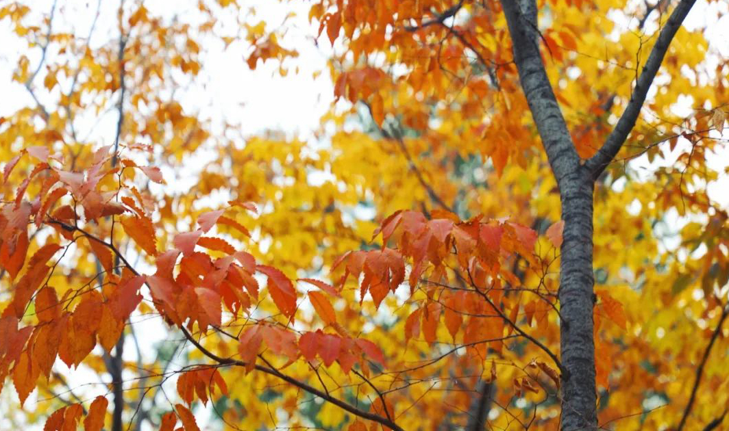 1673780041732758.jpg 微信圖片_20230115185231.jpg