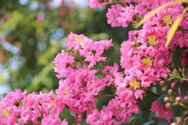 1673780870889219.png 微信圖片_20230112201806.png