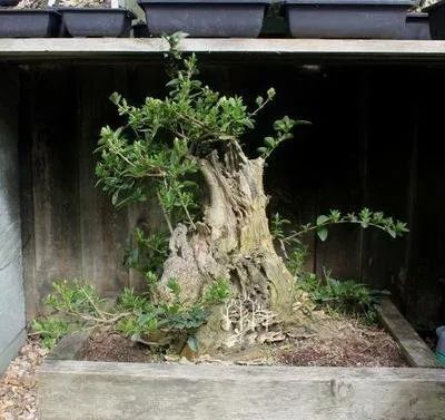 1674486390726559.jpg 微信圖片_20230106060021.jpg