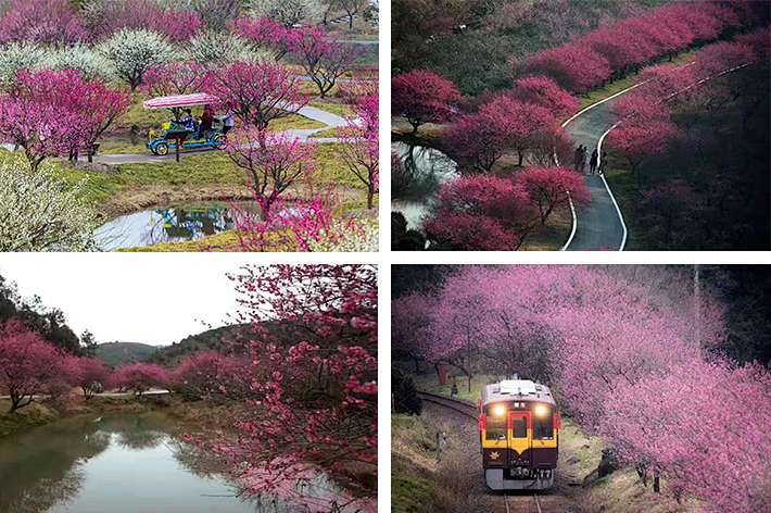 1675196809524957.png 微信圖片_20230115221908.png