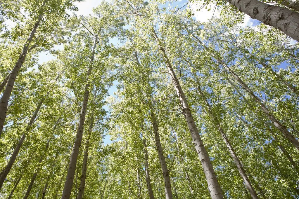 1675697129574736.jpg 微信圖片_20230108133956.jpg