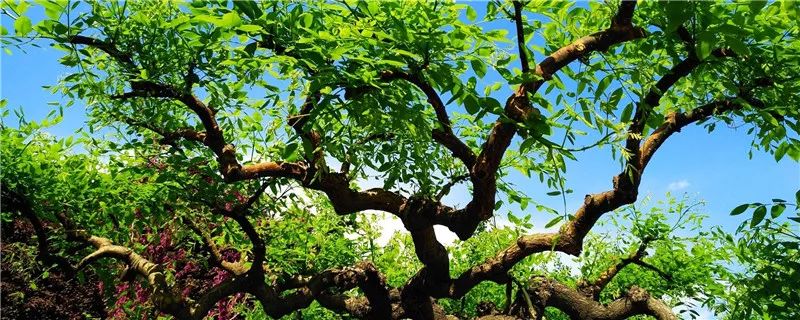 1675697223416058.jpg 微信圖片_20230204140524.jpg