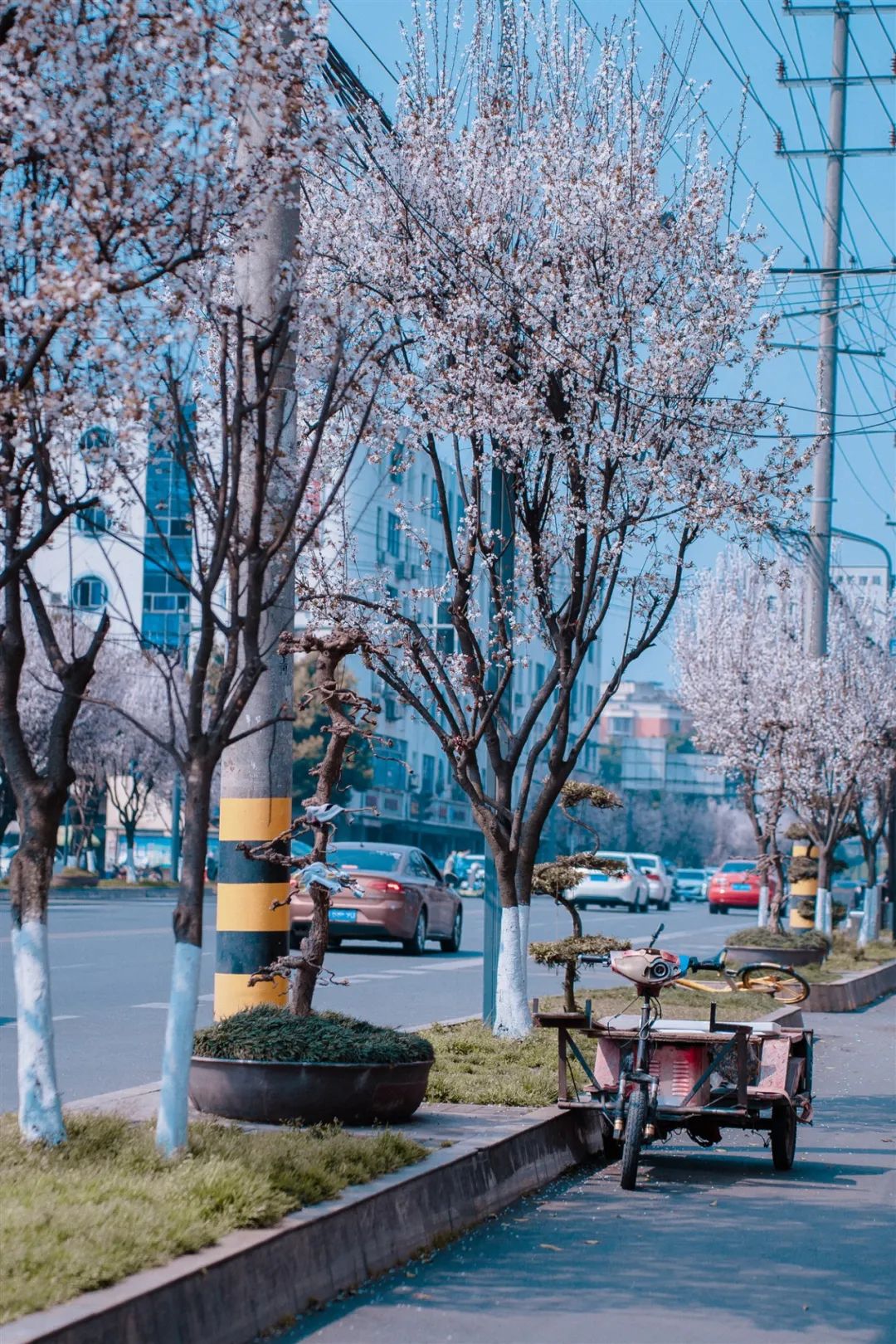 1675701381483765.jpg 微信圖片_20230107194945.jpg