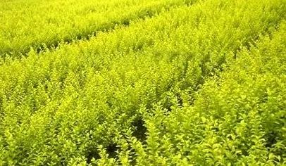 1675701774462281.jpg 微信圖片_20230108134301.jpg