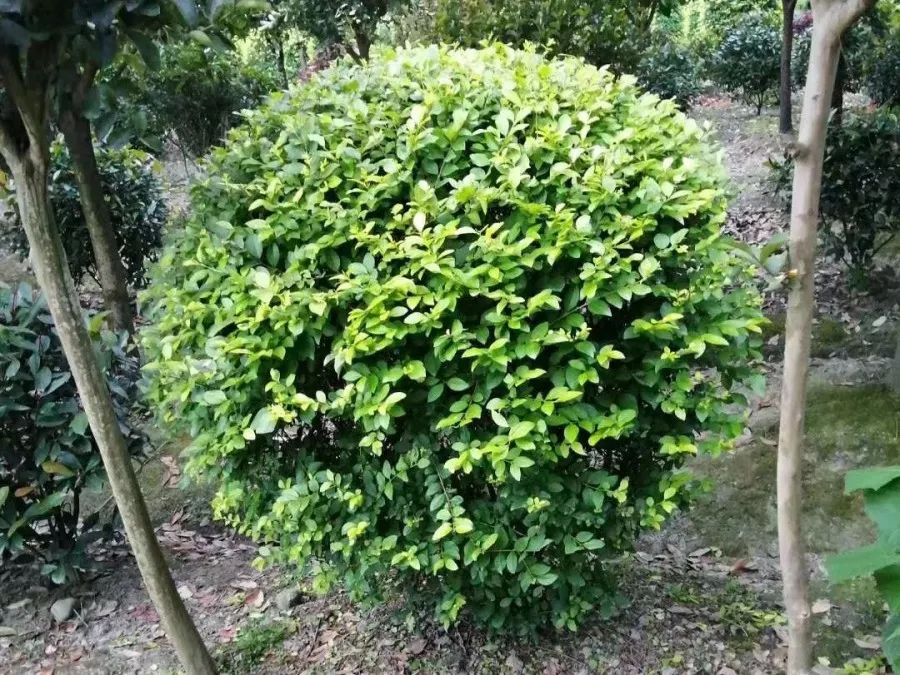 1675701781469760.jpg 微信圖片_20230108134304.jpg