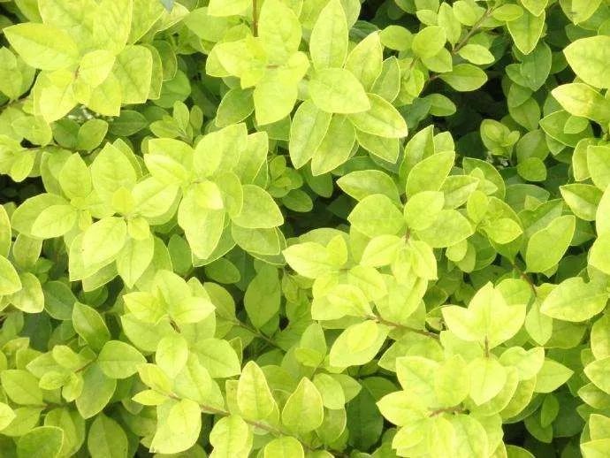 1675701789512391.jpg 微信圖片_20230108134257.jpg