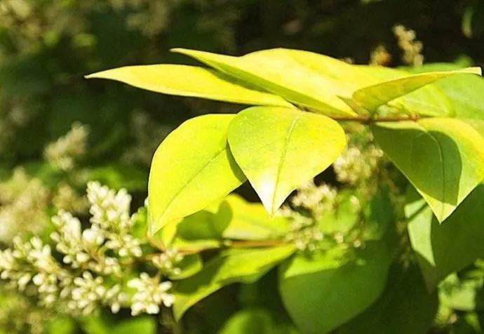 1675701798277333.jpg 微信圖片_20230108134252.jpg