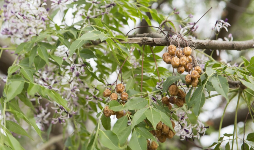 1676039146915739.png 微信圖片_20221023220236.png