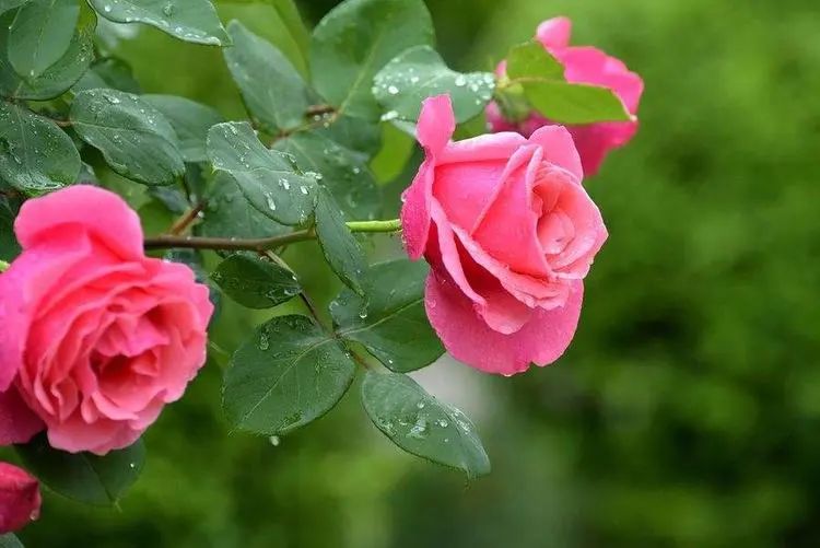 1676640171201507.jpg 微信圖片_20221126211640.jpg