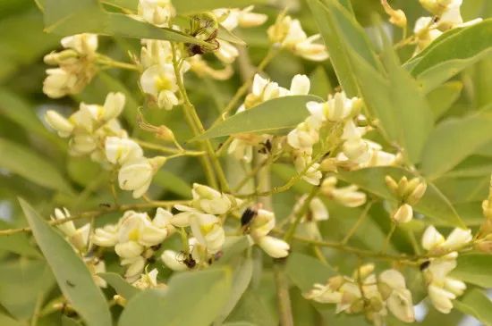 1676894927470376.jpg 微信圖片_20221025220215.jpg