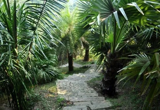 1676895207737937.jpg 微信圖片_20221029111918.jpg