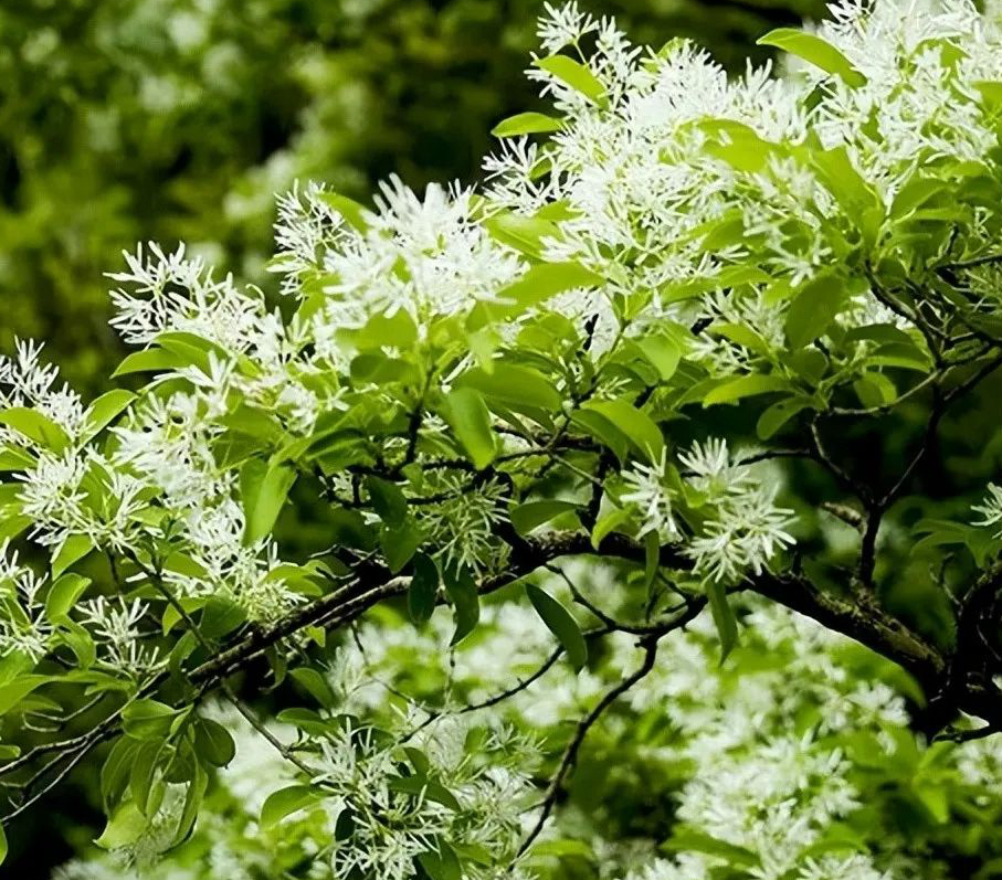 1676897113125199.jpg 微信圖片_20230220203256.jpg