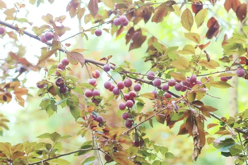 1676898579304576.jpg 微信圖片_20230107194913.jpg