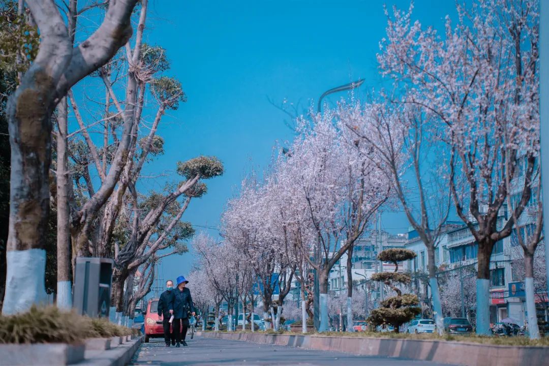 1676898592429144.jpg 微信圖片_20230107194957.jpg