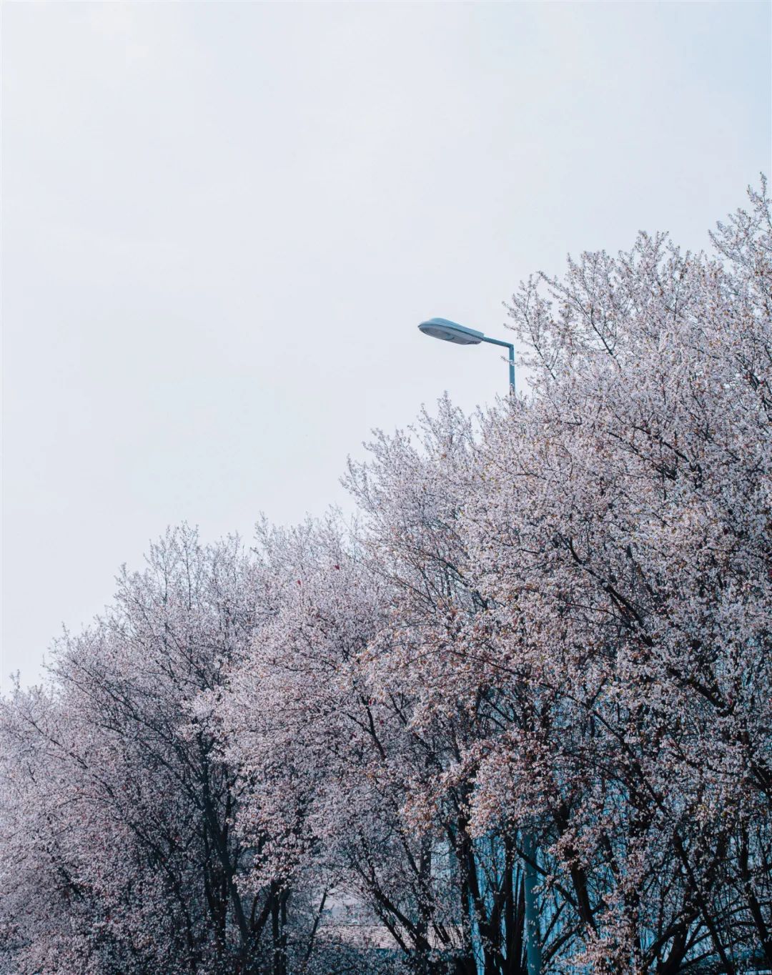 1676898605302768.jpg 微信圖片_20230107195018.jpg