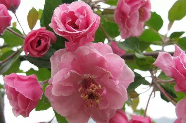 1676898709692378.jpg 微信圖片_20221128204912.jpg